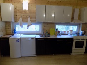 кухня. стиральная и посудомоечная посуда