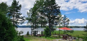 берег берег