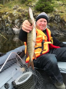 опять щуки опять щуки