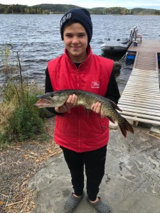 снова щуки снова щуки