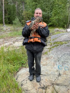 Дикие утки идут на руки ) Дикие утки идут на руки )