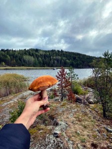 на соседнем островке на соседнем островке