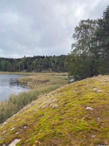на соседнем островке на соседнем островке
