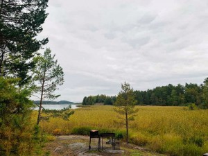 берег берег