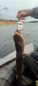 Щука на 5,3 кг Щука на 5,3 кг