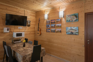 обеденный стол, телевизор, микроволновка