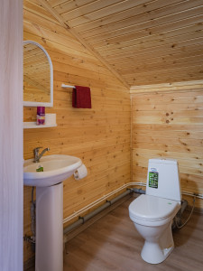 бильярдный зал. санузел