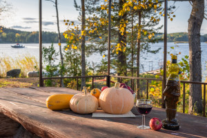 мангальная зона