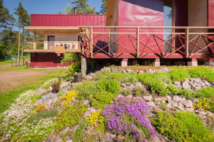 дом, альпийская горка