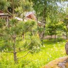 берег берег