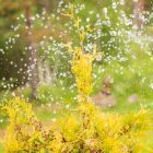 фонтан фонтан