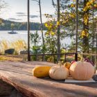 мангальная зона мангальная зона