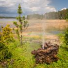 фонтан фонтан