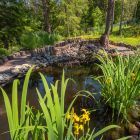 пруд на территории пруд на территории