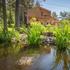 пруд на территории пруд на территории