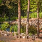 пруд на территории пруд на территории